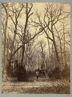 Free download [Man in a Forest Landscape] free photo or picture to be edited with GIMP online image editor